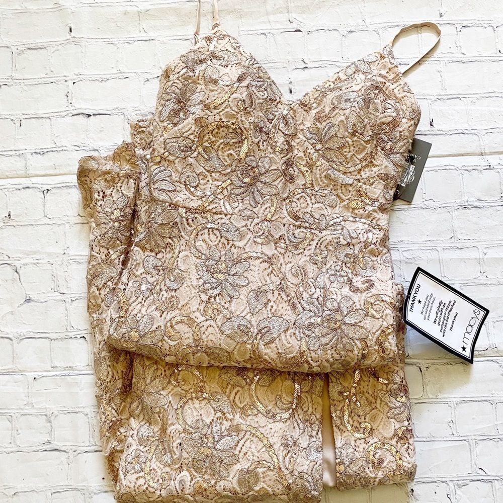 Vince Camuto Blush Lace & Sequin Full Length Dress - Picture 2 of 5